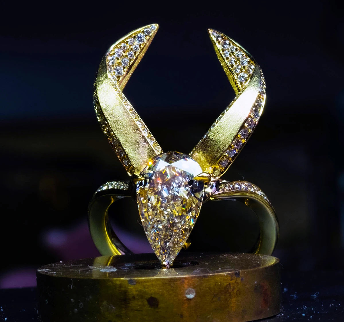 thumbnail-images Bongo Antelope