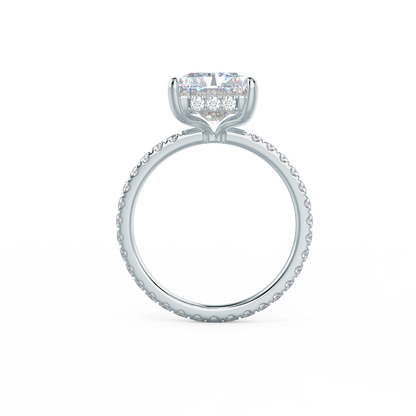 Radiant Cut + Hidden Halo