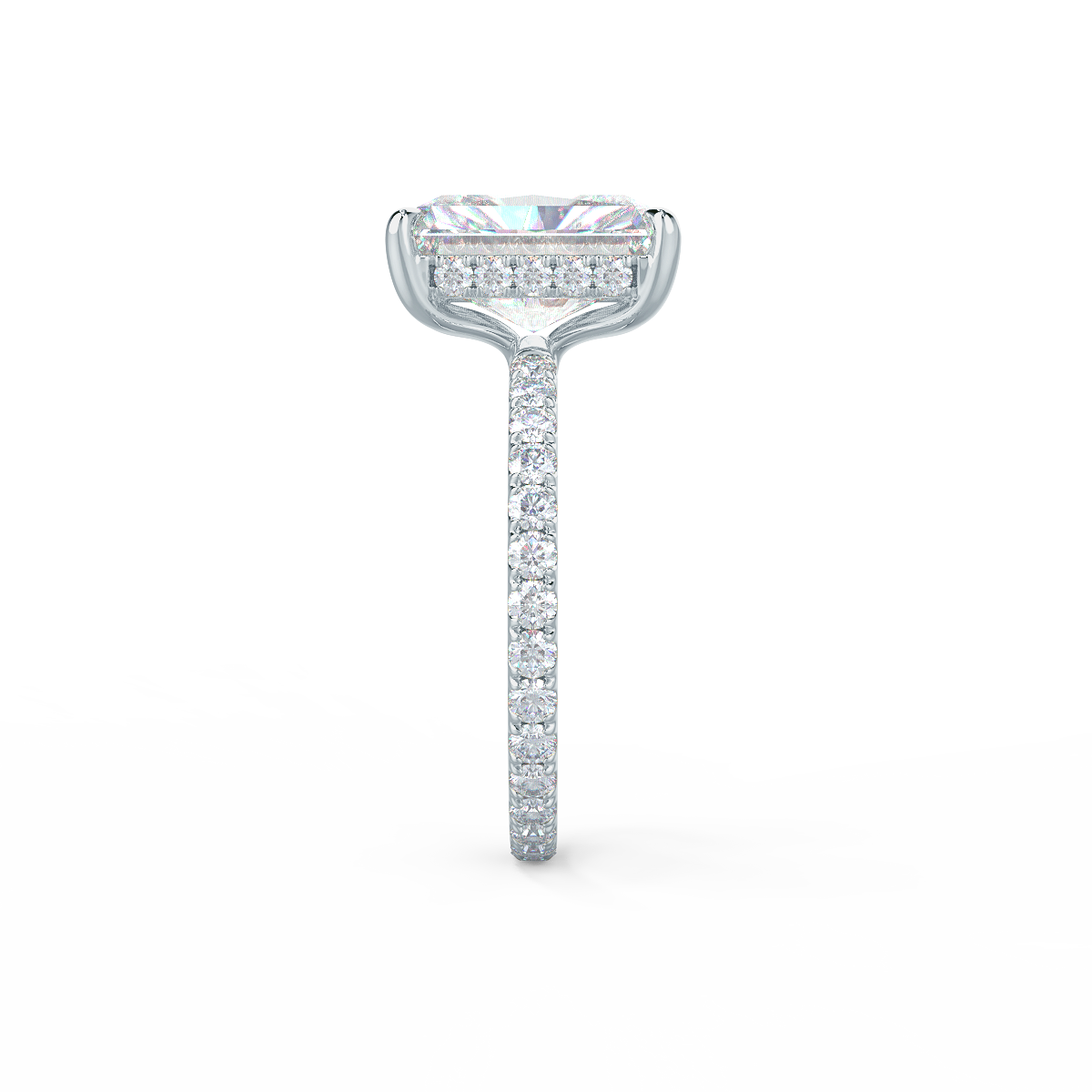 Radiant Cut + Hidden Halo