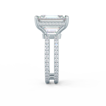 Emerald Cut + Double Shank