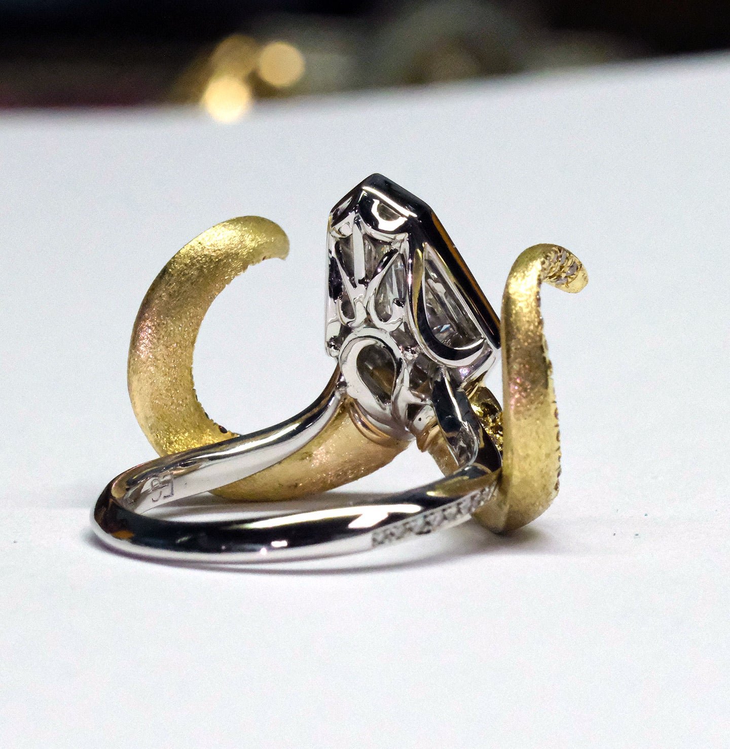 Ram Ring