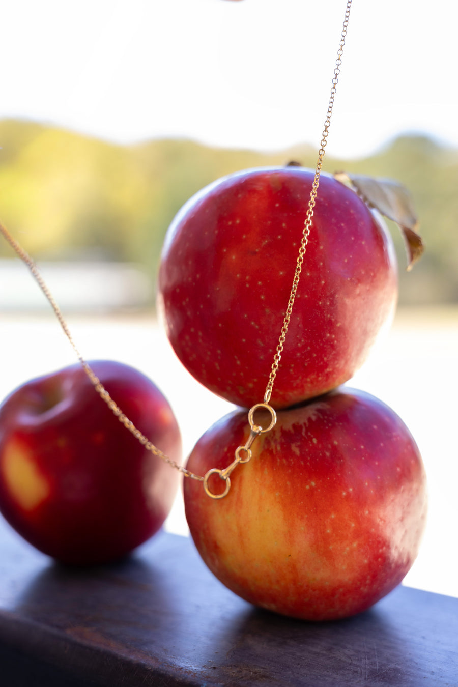 Horsebit necklace draped across red apples